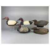 5 Canvasback Duck Decoys