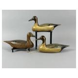 Ron Koch Trio of Pintails