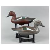 Jim Pierce Pr. of Cinnamon Teal