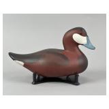 Jim Pierce Ruddy Duck