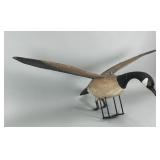 Casey Edwards Flying Canada Goose