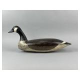 East Coast Canada Goose