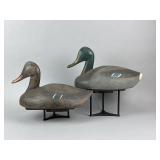 Pr. of Oversized Wisconsin Mallards