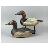 Mason Pr. of Chesapeake Bay Canvasbacks