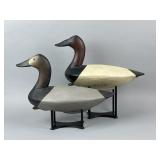 "Hurricane" Pete Peterson Pr. of Canvasbacks