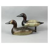 Mason Pr. of Seneca Lake Canvasbacks