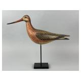 Bill Gibian Hudsonian Godwit Shorebird