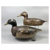 Wisconsin Pr. of Mallard Duck Decoys