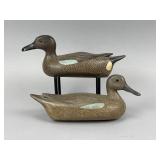 2 Unknown Blue-Winged Teal