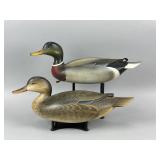 George Strunk Pr. of Mallard Duck Decoys