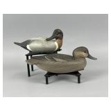 2 Sean Sutton Green-Winged Teal