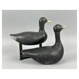 2 Wisconsin Coot Decoys