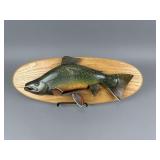 Raymond Bellvance Brook Trout Plaque