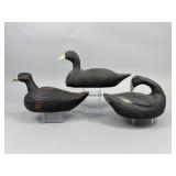 3 Coot Duck Decoys