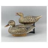 2 Mallard Hen Duck Decoys