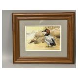 Framed & Matted Canvasback Print