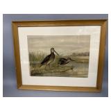 A. Pope Framed & Matted Print