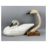 Swan Decoy & Swan Head