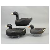 3 Wisconsin Coot Duck Decoys