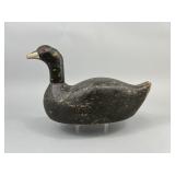 Alfred Luedke Coot Duck Decoy