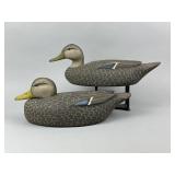 2 David Simandl Black Duck Decoys
