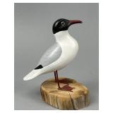 Herb Daisey, Jr. Miniature Gull