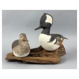 Tony Kolikowski Pr. of Hooded Mergansers