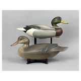 George Strunk Pr. of Mallard Duck Decoys