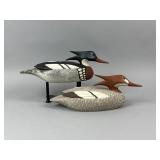 David Simandl Pr. of Red-Breasted Merganser