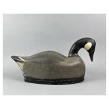 St. Clair Flats Canada Goose