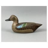 Serf Arenz Blue-Winged Teal Hen