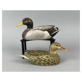 Phil Galatas Pr. of Miniature Mallards