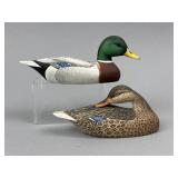Katy Perdew Seibert Pr. of Miniature Mallards