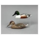 Katy Perdew Seibert Pr. of Miniature Shovelers
