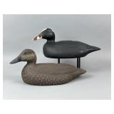 David Simandl Pr. of Surf Scoter Duck Decoys