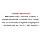 Mecosta County Livestock Auction