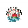 Mecosta county 4-h livestock Auction 
