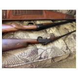 22 Litle scout rifle 