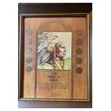 Framed The American Indian (Indian Head Pennies)