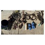 VTG Cattle Show Supplies