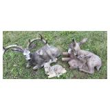 Resin Deer Lawn Statues