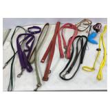 Pet Leashes, Show Lead & Collars