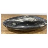 Natural Orthocreas Fossil Ashtray