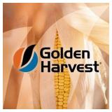 Golden Harvest Seed Corn 6 bags