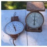 Farm Master Dairy Scale & American Family Scale