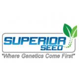 Superior Seed generously donated 20 bags of beans