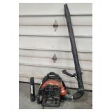 Echo Backpack Blower
