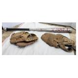 MacGregor Aluminum Bat & Mitts