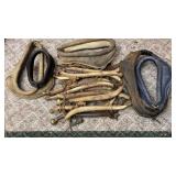 Large Lot Of Horse Hames & Collars