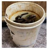 5-Gallon Bucket of Horse Shoes